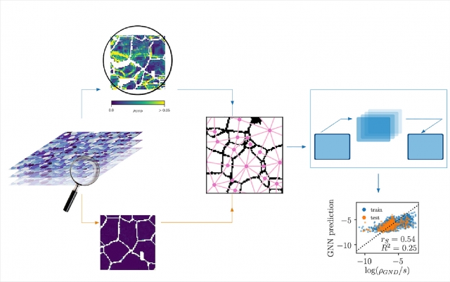 FIG. 1. The supervised machine-learning workflow combining scanning electron microscope EBSD images of Mg alloys with graph neural net (GNN) based approach. The dislocation density maps obtained from mechanical deformation tests serve as the target data for the GNN model. The grain microstructure and associated attributes are utilized as relevant predictors. The combined data set is employed to construct a GNN, with each grain center location being a graph node, to be trained through the “encode-process-dec