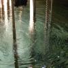 Water covers many elements of the MARIA reactor