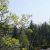 The Świerk centre offers a lot of greenery, just like a park